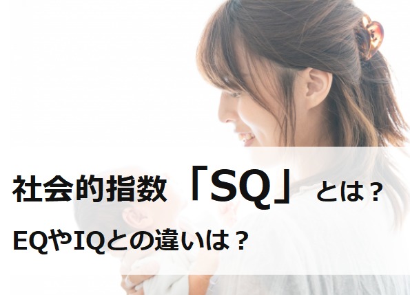 社会的指数SQとは